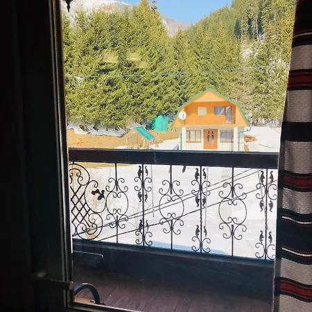 у віти номер2 *